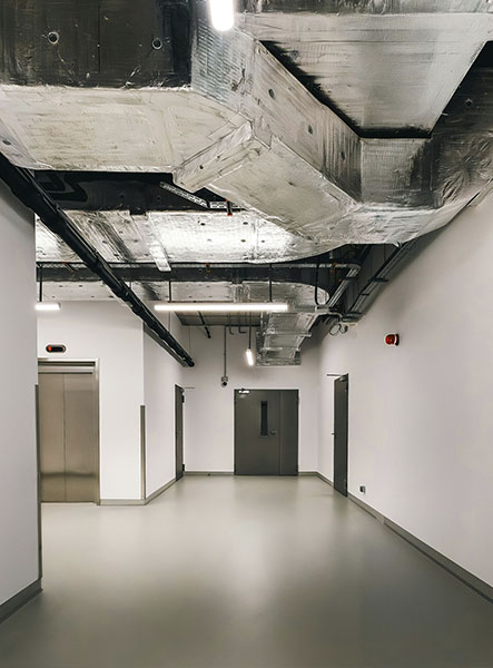 Espacio reservado para imagen institucional de Dorwin